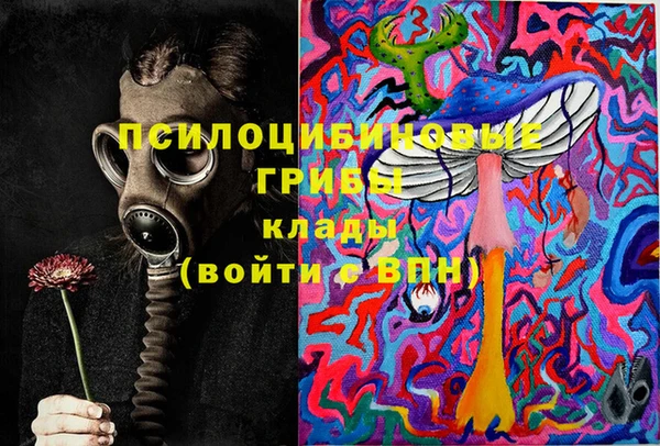 амф Надым