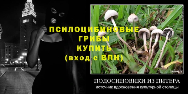 винт Алапаевск