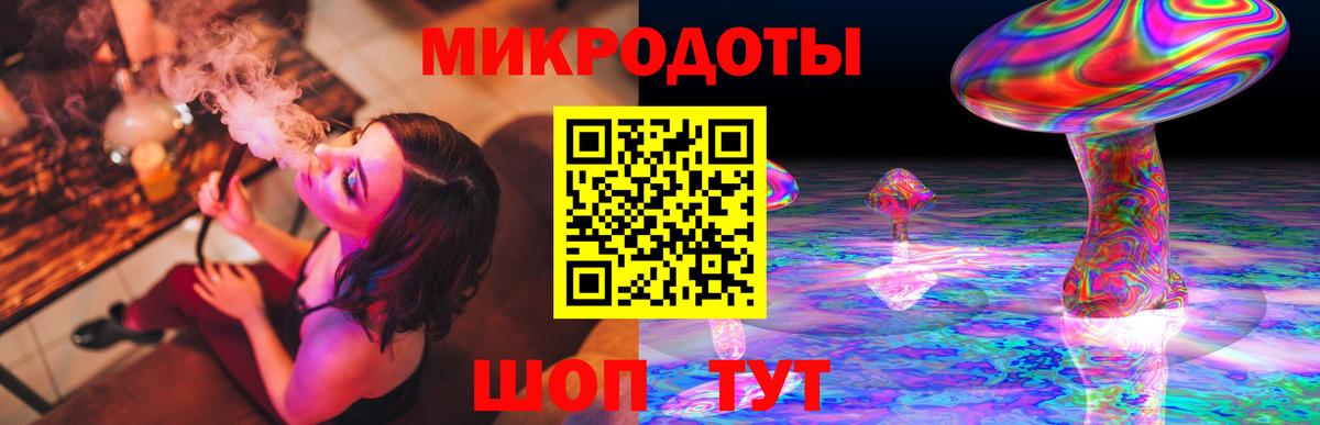 Галлюциногенные грибы Psilocybine cubensis Якутск