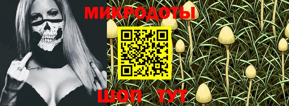 Якутск  Псилоцибиновые грибы MAGIC MUSHROOMS  Вход с VPN  Галлюциногенные грибы MAGIC MUSHROOMS 